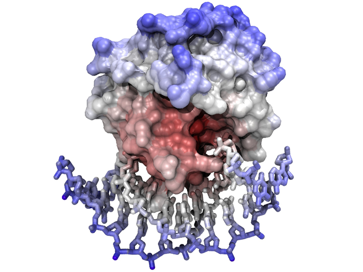 molecular modeling vmd tutorial