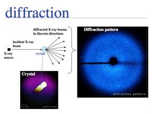 Structure data slide0013.jpg