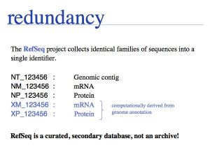 Sequence Data slide0058.jpg