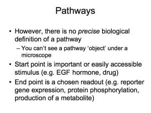 23 slide012.jpg