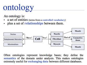 Sequence Data slide0034.jpg