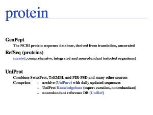 Sequence Data slide0059.jpg