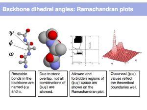 10 slide010.jpg