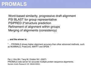 07 slide023.jpg