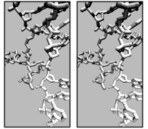 2007exam stereo b.jpg