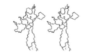 Stereo Defensin 2.jpg