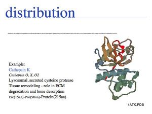 Sequence Data slide0022.jpg