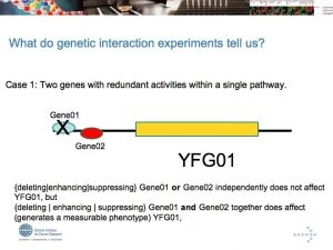 24 slide035.jpg