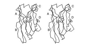 Stereo VH-domain.jpg