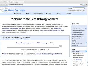 Geneontology.org.jpg