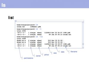 Unix commands slide013.jpg