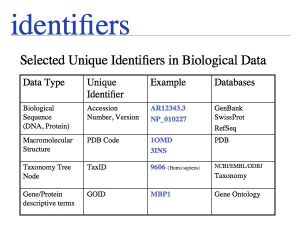 Sequence Data slide0053.jpg