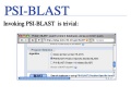BLAST slide0028.jpg