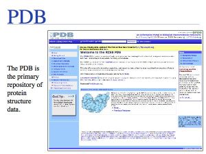 Sequence Data slide0050.jpg