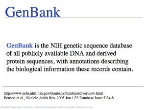Sequence Data slide0049.jpg