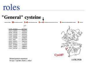 Sequence Data slide0026.jpg