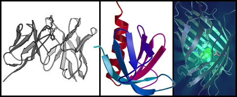 Molecular Graphics Examples